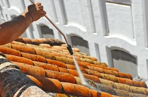 Nettoyage de toitures - Paray-Vieille-Poste